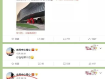 吃瓜娱乐微博头像,揭秘吃瓜娱乐微博头像背后的故事”