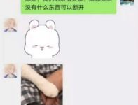 吃瓜一家人 百度网盘,揭秘百度网盘背后的故事