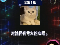 吃瓜娱乐中心官网,带你走进娱乐圈的幕后风云