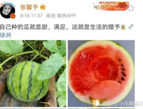 吃瓜娱乐圈吃瓜,吃瓜群众揭秘幕后真相